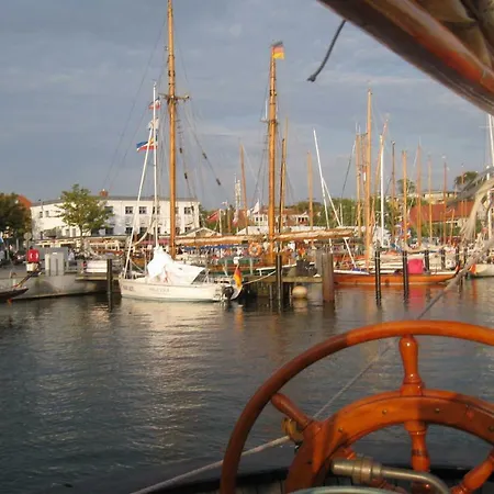 Boern Herzmuschel * לבואה