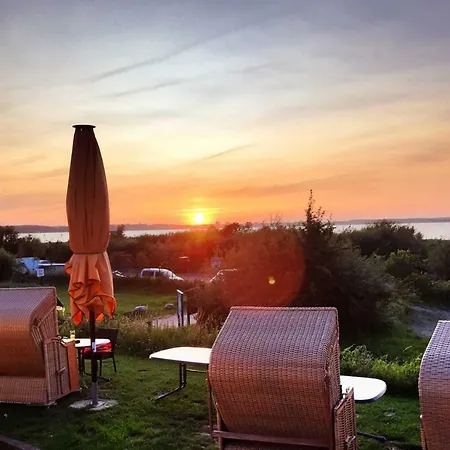 Boern Herzmuschel דירה